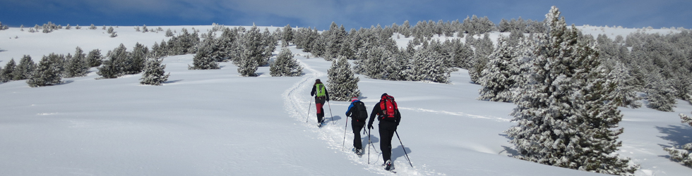 Pedró dels Quatre Batlles