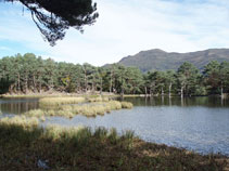 El camino que bordea el lago pasa muy cerca del agua.