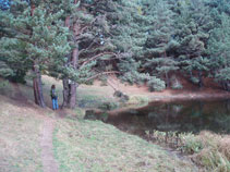 Llegando ya a la otra punta de la Bassa d´Oles.