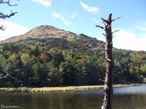 El Montcorbison (2.176m) se alza por encima de la Bassa d´Oles, muy cerca.