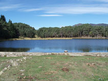 Otra vez en la presa de la Bassa d´Oles.