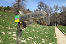 Señalización del Bosque de Gamueta, siempre con los colores verde y amarillo.