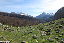 Peña Ezkaurre (2.045m) al fondo.