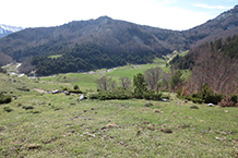 Al fondo del valle reconocemos la carretera que va de Zuriza a Linza.