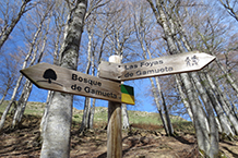 Seguimos la indicación "Bosque de Gamueta" hacia la derecha (la foto está hecha desde el lado opuesto, por este motivo "Bosque de Gamueta" aparece a la izquierda).