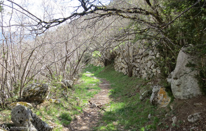 Cascada del Molí del Salt desde Viliella 1 