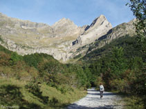 Saliendo del bosque vemos el pico de Pineta y la Punta del Forcarral.