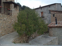 Detrás del árbol y entre las casas empieza el camino hacia el castillo