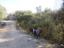 Retrocedemos unos metros para bajar por un sendero y coger una pista más abajo.