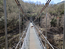 El puente colgante de Sant Jaume.