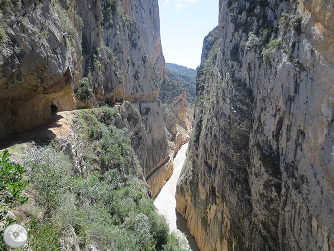 Desfiladero de Mont-rebei en la sierra del Montsec 1 