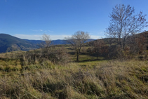 Prados al S desde la collada de Trases.