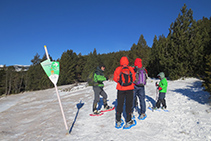 Seguimos las indicaciones y nos adentramos en el bosque.