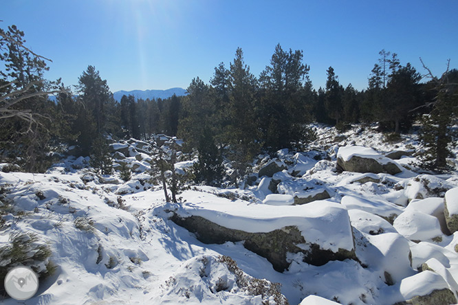 Estany de l