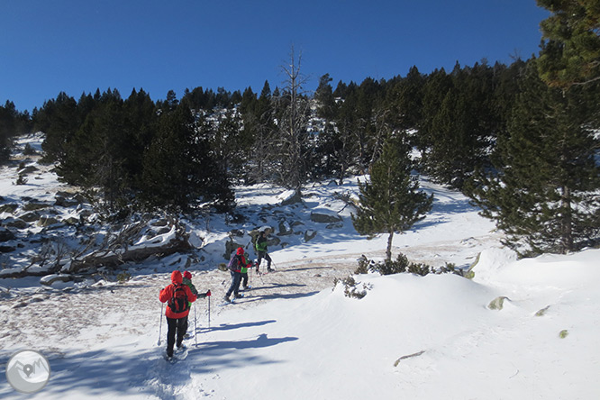 Estany de l