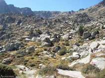 Nos queda la última subida hasta el lago del Cap dels Pessons.