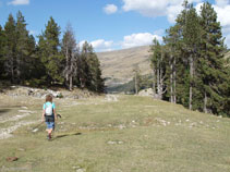 Bajamos siguiendo la pista.