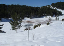 La Collada es una zona de agua estancada. Vemos la pista asfaltada que viene del Pla de la Creu de Fumanya.