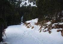 El sendero por el que bajamos atraviesa una pista y continua bajando (en dirección SE).