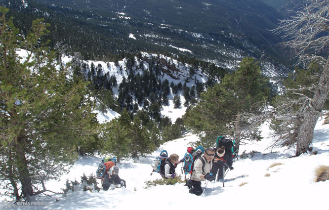 Gallina Pelada (2.317m) por Peguera 1 