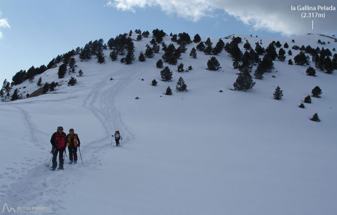 Gallina Pelada (2.317m) por Peguera 1 