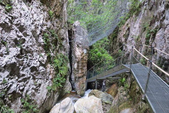 Las gargantas de la Fou (Gorges de la Fou) 1 