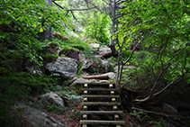 Camino sombrío y cautivador.