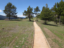 Loma del Serrat del Mirador.