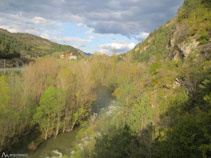 Vistas sobre el Segre.