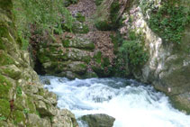 El agua emerge por entre las rocas de la montaña.