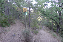 A la izquierda, el primer sendero que nos llevaría al Grau de Porta. Nosotros seguimos recto por el camino de la derecha.