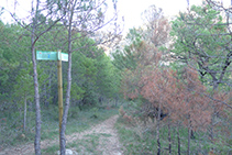 A la izquierda, el segundo sendero que nos llevaría al Grau de Porta. Nosotros seguimos recto adelante.