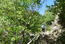 Remontamos el barranco de la Font Viva.