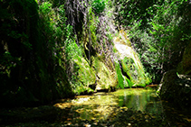 El Clot de la Font Viva, un lugar húmedo y sombrío.