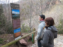 Paneles informativos a lo largo del camino que nos hablan de la vegetación y de la fauna de la zona.