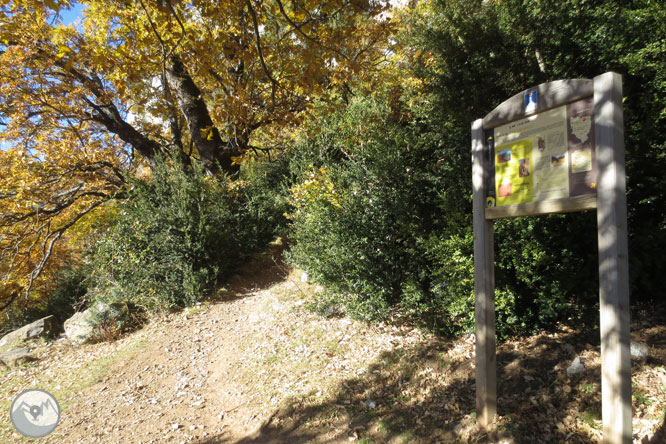 Sendero de los miradores de Revilla en las Gargantas de Escuaín 1 