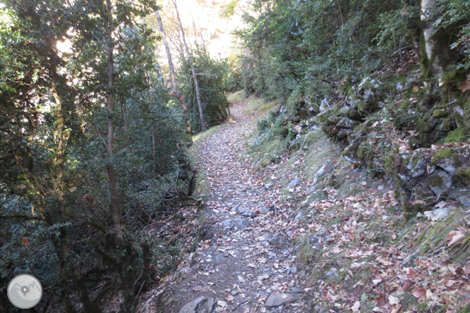 Sendero de los miradores de Revilla en las Gargantas de Escuaín 1 