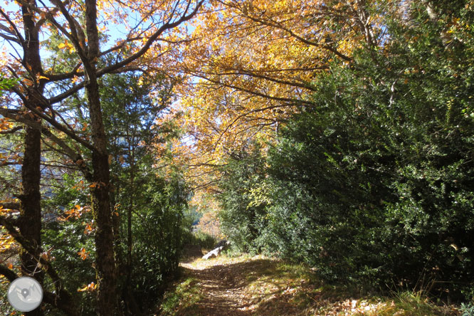 Sendero de los miradores de Revilla en las Gargantas de Escuaín 1 