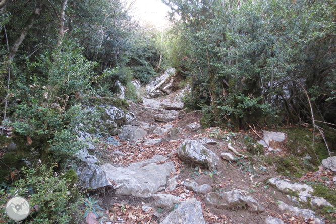 Sendero de los miradores de Revilla en las Gargantas de Escuaín 1 