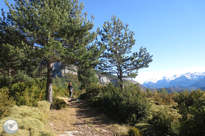 Sendero de los miradores de Revilla en las Gargantas de Escuaín 1 