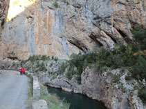 La carretera junto al río que va serpenteando por el desfiladero de Collegats.