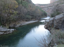 Río Noguera Pallaresa con el cable para atravesarlo.