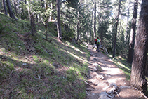 Caminando por el interior del bosque.