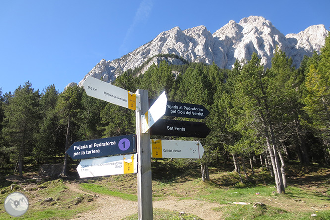 Pedraforca (2.506m) por el collado del Verdet y la Enforcadura 1 