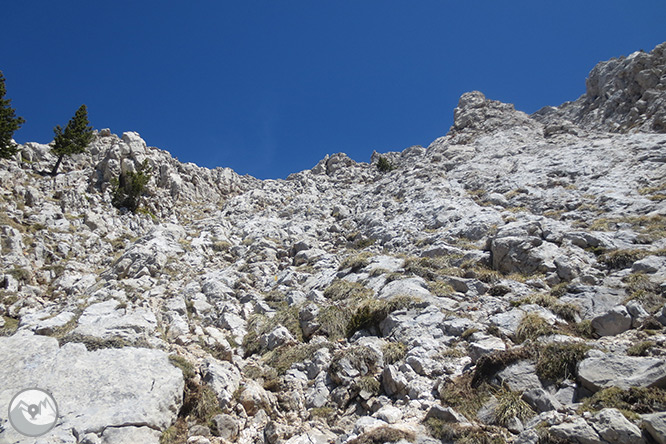 Pedraforca (2.506m) por el collado del Verdet y la Enforcadura 1 