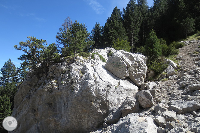 Pedraforca (2.506m) por el collado del Verdet y la Enforcadura 1 