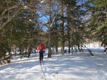 Subiendo por el lado de las pistas de esquí, por entre el bosque.