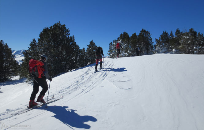 Pico de Tarbésou (2.364m) desde Mijanes 1 