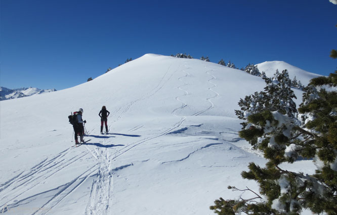 Pico de Tarbésou (2.364m) desde Mijanes 1 