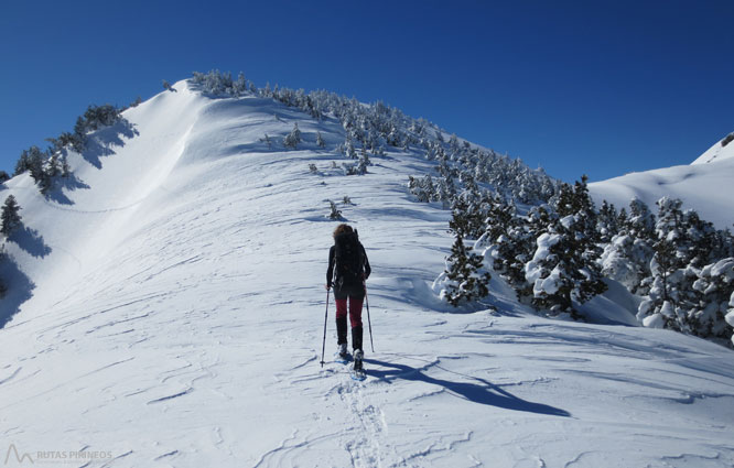 Pico de Tarbésou (2.364m) desde Mijanes 1 